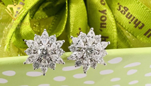 bong-tai-nhap-dinh-kim-cuong-tu-nhien-kc-btn-020 (2)